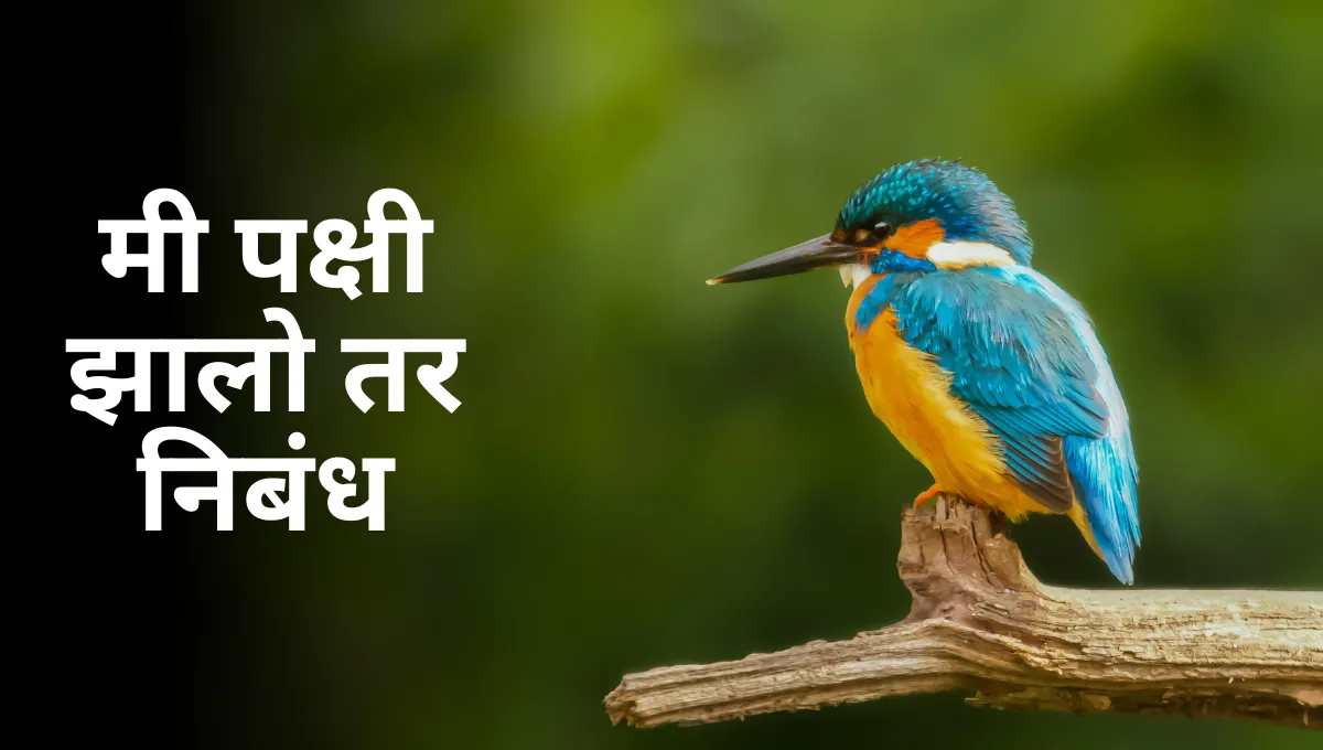 Mi Pakshi Zalo tar Marathi Essay: मी पक्षी झालो तर निबंध